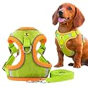 A+a Pets' Suede Harness &amp; Leash Set for Cats, Small Dogs | Escape Proof | Night Safety Reflective Strips | 2 Leash Points (XL, Lime Green)