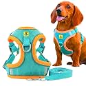 A+a Pets' Suede Harness &amp; Leash Set for Cats, Small Dogs | Escape Proof | Night Safety Reflective Strips | 2 Leash Points (XL, Green)