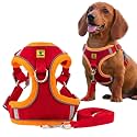 A+a Pets' Suede Harness &amp; Leash Set for Cats, Small Dogs | Escape Proof | Night Safety Reflective Strips | 2 Leash Points (XL, Red)