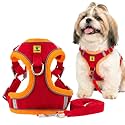 A+a Pets' Suede Harness &amp; Leash Set for Cats, Small Dogs | Escape Proof | Night Safety Reflective Strips | 2 Leash Points (L, Red)