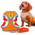 A+a Pets' Suede Harness &amp; Leash Set for Cats, Small Dogs | Escape Proof | Night Safety Reflective Strips | 2 Leash Points (XL, Orange)