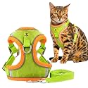 A+a Pets' Suede Harness &amp; Leash Set for Cats, Small Dogs | Escape Proof | Night Safety Reflective Strips | 2 Leash Points (S, Lime Green)