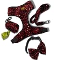 Aa Pets39 Sequins Set of 5- Harness