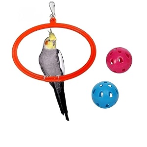 the pets company bird toys amp swings hanging oval rings for love bird cockatiel budgie finches sun conure indian parrot bird swing with bird ball set of 4 large