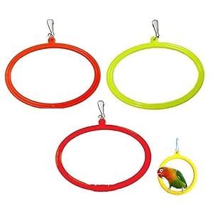 the pets company bird toys amp swings hanging oval rings for budgie finches amp other small birds  bird swing with ss hook small set of 3