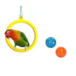 the pets company bird toys amp swings hanging oval rings for budgie finches amp other small birds  bird swing with ball set of 3 small