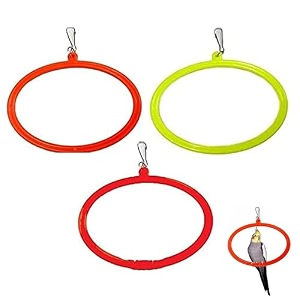 the pets company bird toys amp swings hanging oval rings for love bird cockatiel budgie finches sun conure indian parrot amp other medium birds  bird swing with ss hook large set of 3