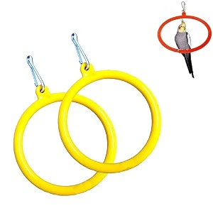 the pets company bird toys amp swings hanging oval rings for love bird cockatiel budgie finches sun conure indian parrot amp other medium birds  bird swing with ss hook large set of 2