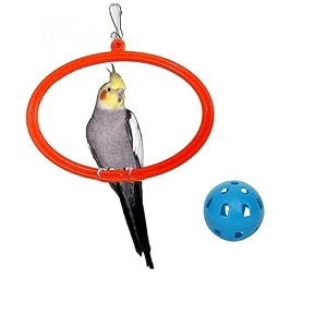 the pets company bird toys amp swings hanging oval rings for love bird cockatiel budgie finches sun conure indian parrot bird swing with bird ball set of 2 large