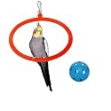 The Pets Company Bird Toys &amp; Swings, Hanging Oval Rings for Love Bird, Cockatiel, Budgie, Finches, Sun Conure, Indian Parrot| Bird Swing with Bird Ball Set of 2, Large