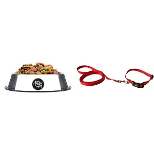 the pets company dog feeding bowl stainless steel bowls for small dogs amp the pets company leash and collar set suitable for puppies of all dog breeds x small red