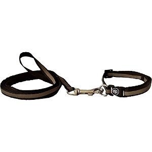 The Pets Company Reflective Leash Collar Set