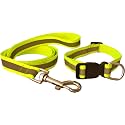 The Pets Company Reflective Leash Collar Set for Medium Dogs, 4 Feet 20 MM, Green