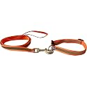 The Pets Company Reflective Leash Collar Set