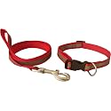 The Pets Company Reflective Leash Collar Set