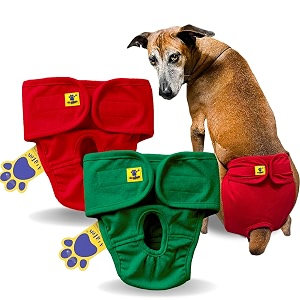 aa pets39 maa39 cotton dog underwear diaper combo  stretchable comfortable washable amp reusable l red amp green set