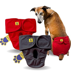 aa pets39 maa39 cotton dog underwear diaper combo  stretchable comfortable washable amp reusable l red amp grey set