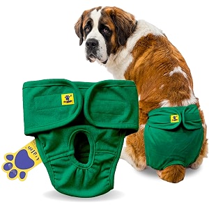 aa pets39 maa39 cotton dog underwear diaper  stretchable comfortable washable amp reusable xxl green