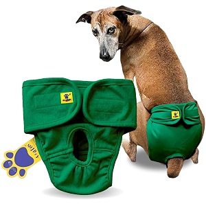 aa pets39 maa39 cotton dog underwear diaper  stretchable comfortable washable amp reusable l green