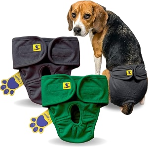 aa pets39 maa39 cotton dog underwear diaper combo  stretchable comfortable washable amp reusable m grey amp green set