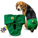 A+a Pets' MAA' Cotton Dog Underwear Diaper – Stretchable, Comfortable, Washable &amp; Reusable (M, Green)