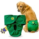A+a Pets' MAA' Cotton Dog Underwear Diaper – Stretchable, Comfortable, Washable &amp; Reusable (XL, Green)