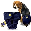 A+a Pets' MAA' Cotton Dog Underwear Diaper – Stretchable, Comfortable, Washable & Reusable (M, Navy)