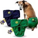 A+a Pets' MAA' Cotton Dog Underwear Diaper Combo – Stretchable, Comfortable, Washable &amp; Reusable (L, Navy &amp; Green Set)