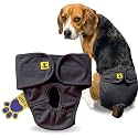 A+a Pets' MAA' Cotton Dog Underwear Diaper – Stretchable, Comfortable, Washable &amp; Reusable (M, Grey)