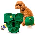 A+a Pets' MAA' Cotton Dog Underwear Diaper – Stretchable, Comfortable, Washable &amp; Reusable (S, Green)