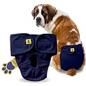 A+a Pets' MAA' Cotton Dog Underwear Diaper – Stretchable, Comfortable, Washable &amp; Reusable (XXL, Navy)
