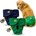A+a Pets' MAA' Cotton Dog Underwear Diaper Combo – Stretchable, Comfortable, Washable &amp; Reusable (XL, Navy &amp; Green Set)