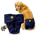 A+a Pets' MAA' Cotton Dog Underwear Diaper – Stretchable, Comfortable, Washable &amp; Reusable (XL, Navy)