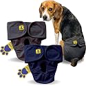 A+a Pets' MAA' Cotton Dog Underwear Diaper Combo – Stretchable, Comfortable, Washable &amp; Reusable (M, Navy &amp; Grey Set)