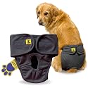 A+a Pets' MAA' Cotton Dog Underwear Diaper – Stretchable, Comfortable, Washable &amp; Reusable (XL, Grey)