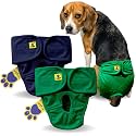 A+a Pets' MAA' Cotton Dog Underwear Diaper Combo – Stretchable, Comfortable, Washable &amp; Reusable (M, Navy &amp; Green Set)