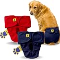 A+a Pets' MAA' Cotton Dog Underwear Diaper Combo – Stretchable, Comfortable, Washable &amp; Reusable (XL, Red &amp; Navy Set)
