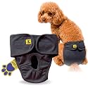 A+a Pets' MAA' Cotton Dog Underwear Diaper – Stretchable, Comfortable, Washable &amp; Reusable (S, Grey)