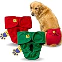 A+a Pets' MAA' Cotton Dog Underwear Diaper Combo – Stretchable, Comfortable, Washable &amp; Reusable (XL, Red &amp; Green Set)
