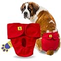 A+a Pets' MAA' Cotton Dog Underwear Diaper - Stretchable, Comfortable, Washable &amp; Reusable (XXL, Red)