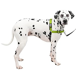petsafe deluxe easy walk harness large apple green