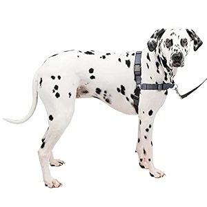 petsafe deluxe easy walk harness large steel