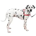Petsafe Deluxe Easy Walk Harness, Large, Rose Red