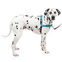 Petsafe Deluxe Easy Walk Harness, Large, Ocean Blue
