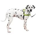 Petsafe Deluxe Easy Walk Harness, Large, Apple Green
