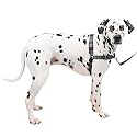 PetSafeÃ‚® Deluxe Easy WalkÃ‚® Harness; Large, Steel