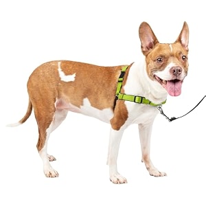 petsafe deluxe easy walk harness
