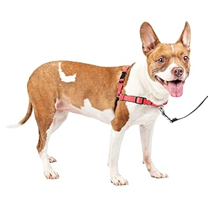 petsafe deluxe easy walk harness medium rose red