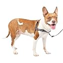 Petsafe Deluxe Easy Walk Harness, Medium, Steel Gray