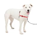 PetSafe Deluxe Easy Walk Harness